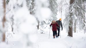 Lumikenkäilyä